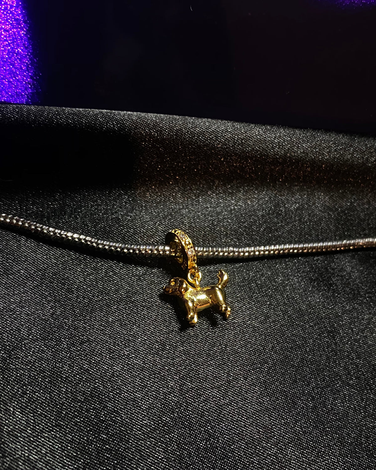 Gold Dog
