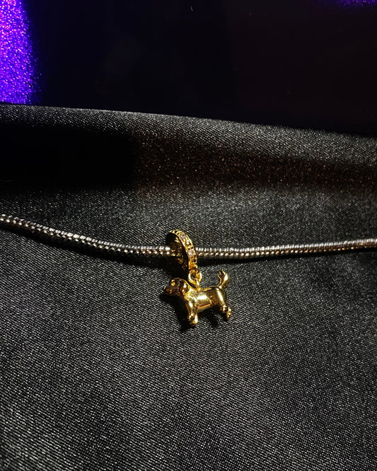 Gold Dog